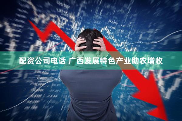 配资公司电话 广西发展特色产业助农增收