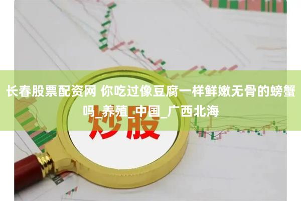 长春股票配资网 你吃过像豆腐一样鲜嫩无骨的螃蟹吗_养殖_中国_广西北海